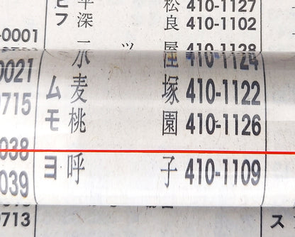 置いてみるバールーペ【ＲＳ－１６Ｐ】