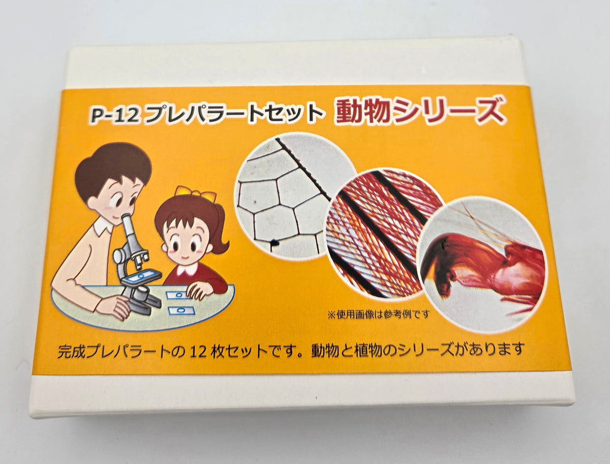 完成プレパラート１２点セット　動物編　アウトレット品